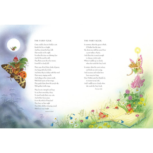 Shirley Barber's Fairy Book