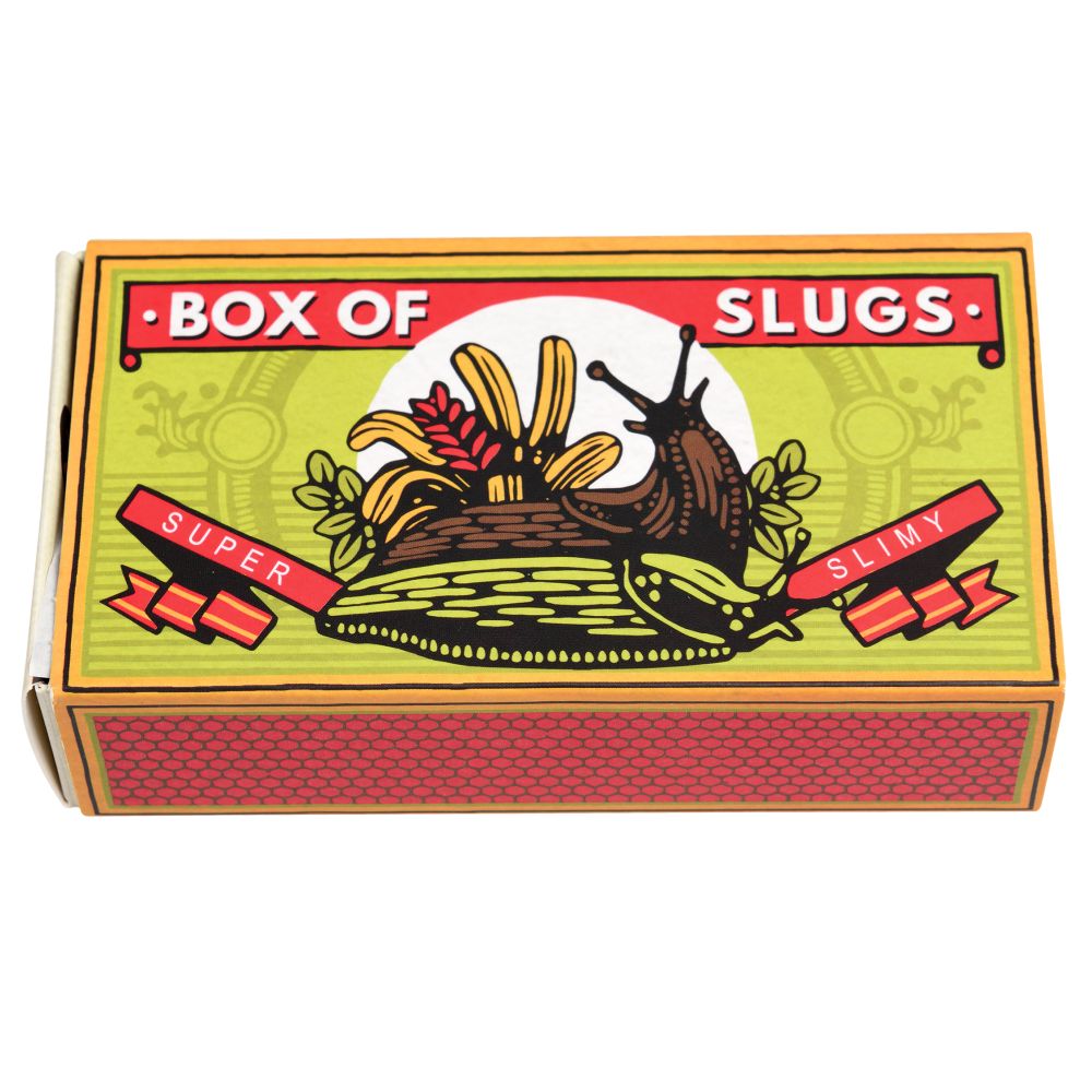 Creepy Crawlies – Box of Two Slimy Slugs