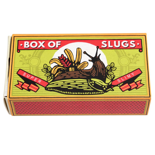 Creepy Crawlies – Box of Two Slimy Slugs