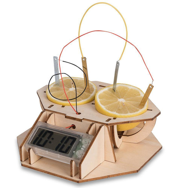 Lemon Clock: DIY Powered Kit