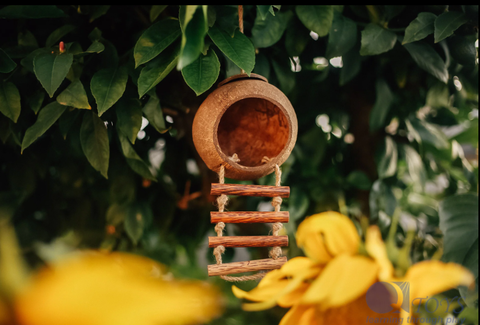 Coco Fairy House / Bird House