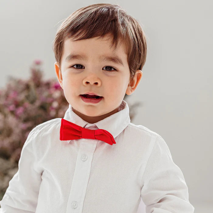 Finley Bow Tie