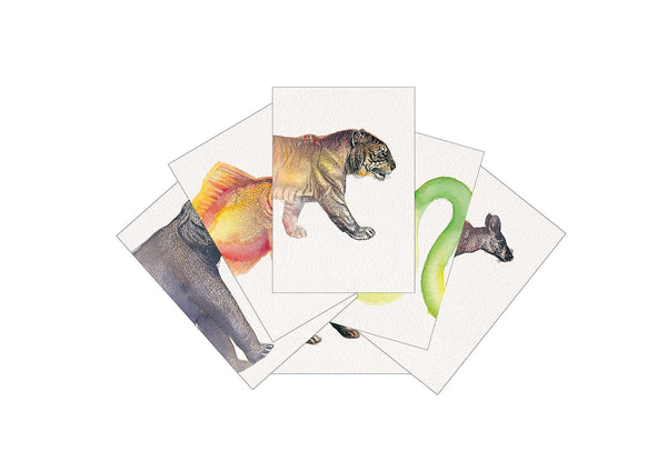 Heads and Tails Match It Cards - Lucky Last!